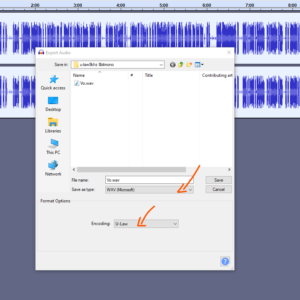 In the "Save as type" dropdown, select "Encoding".